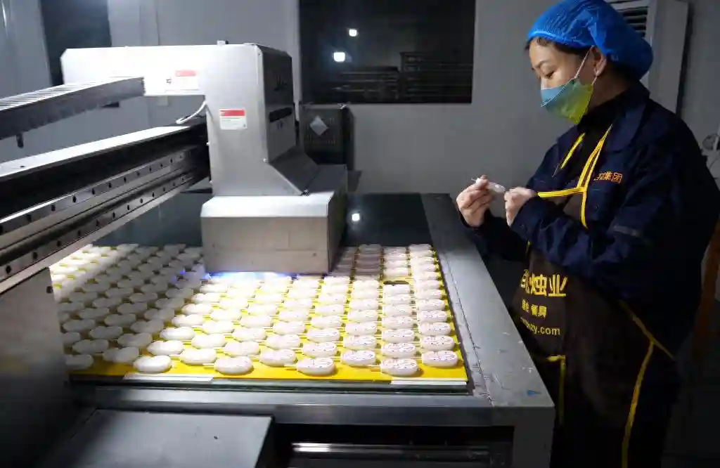 仙侠玄幻小说——《宗门不可以交给笨蛋》