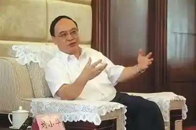 厅官刘小华自杀前后
