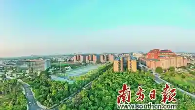 湛江理工：创新职教模式 培养技术人才