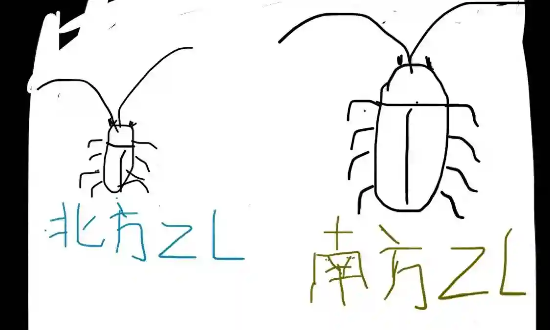 为什么生活中有杀不完的蟑螂
