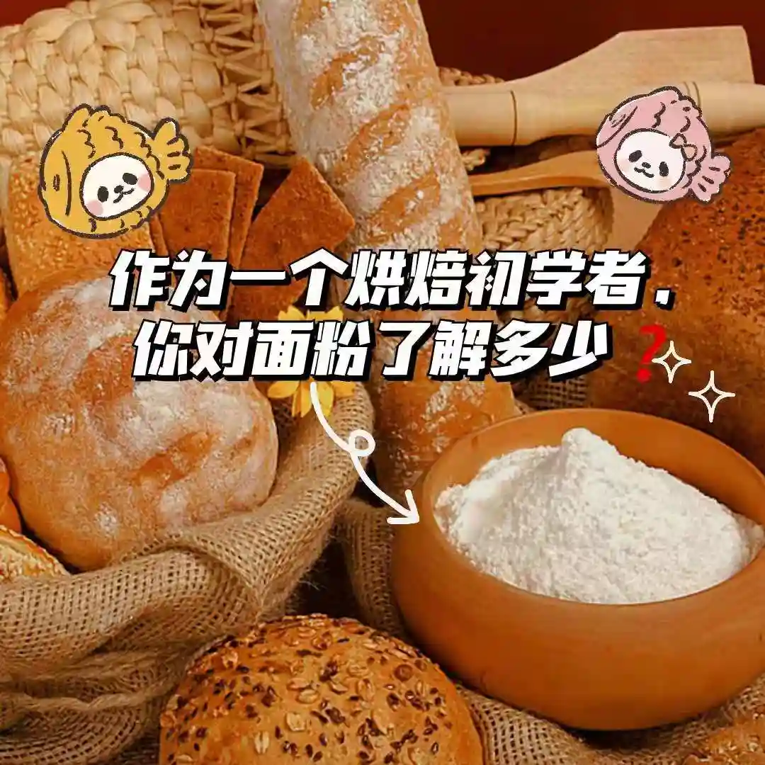 作为一个烘焙初学者，你对面粉了解多少？
