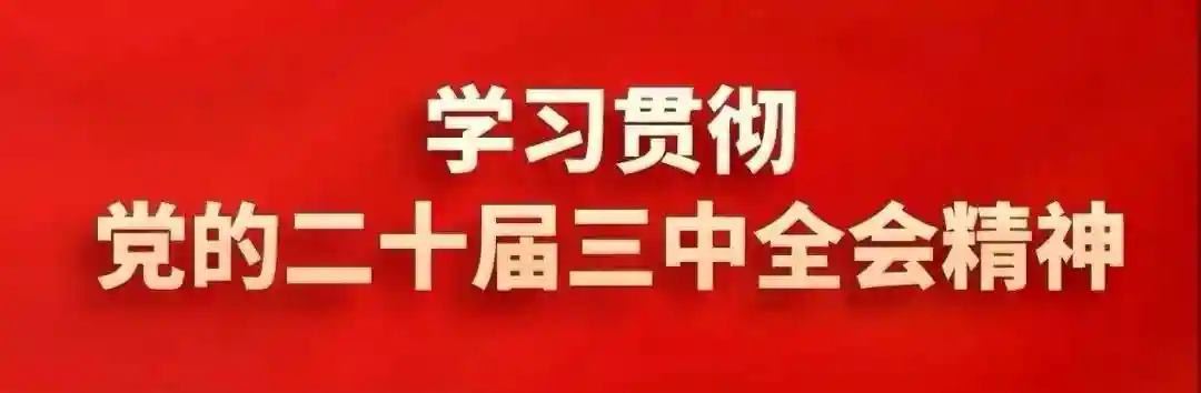 🦙咩~萌宠乐园再添新成员！