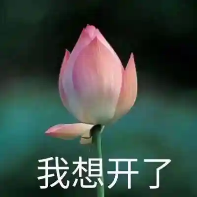 费玉清姐姐71岁成立佛家新教派？欠债坑弟还破戒，这也太任性了
