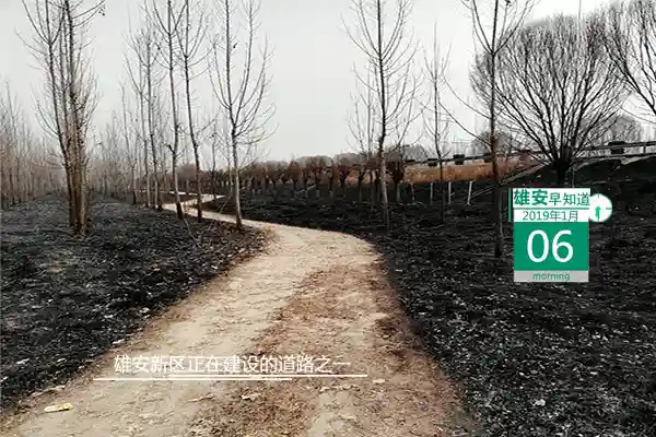 雄安早知道（2019年1月6日）