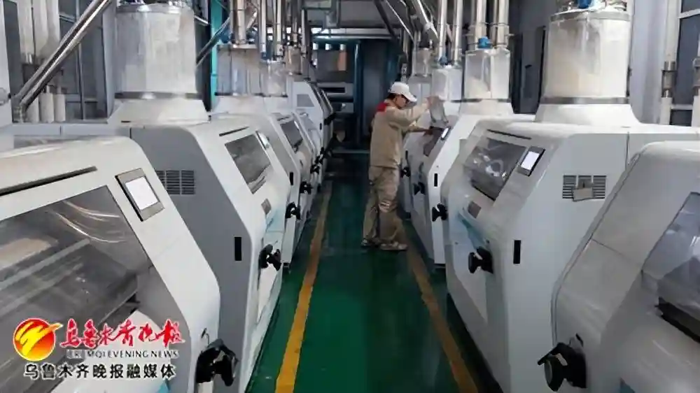 企业一线看生产丨从一袋面粉到一块糕点的飘香之旅